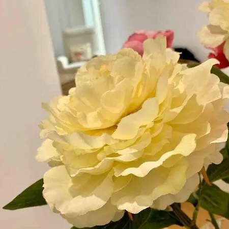 公寓 Puerta De Santa Maria Grupo Ac Gestion *