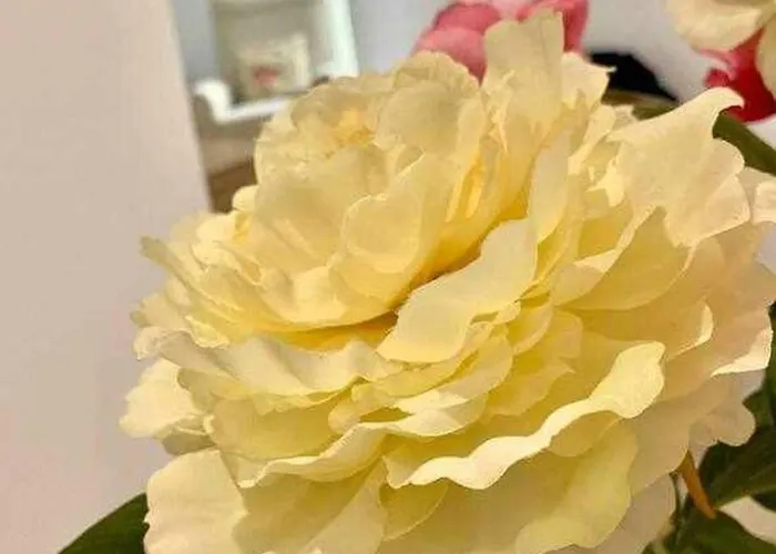 Lägenhet Puerta De Santa Maria Grupo Ac Gestion *